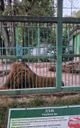 Zoo
