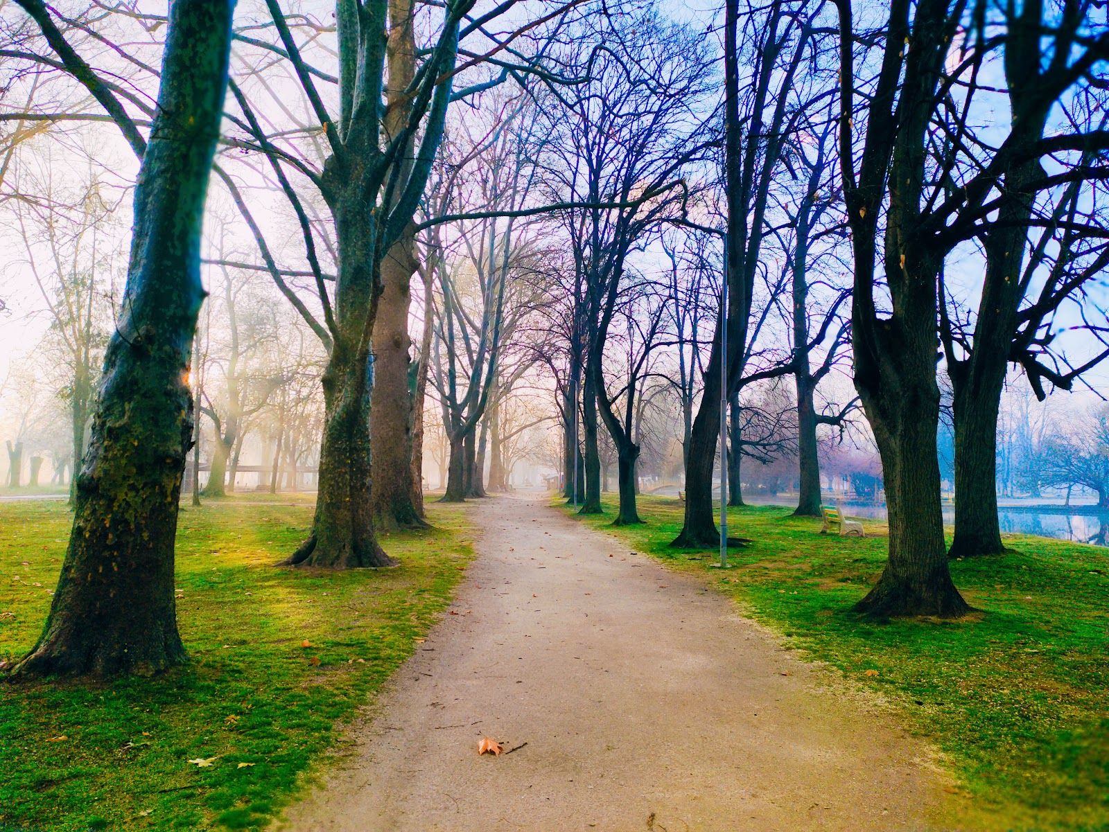 Park "Stadium" – photo 4