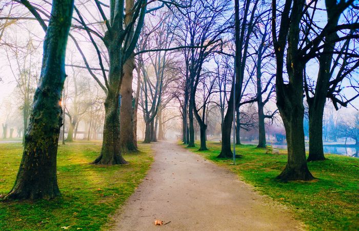 Park "Stadium" – photo 4