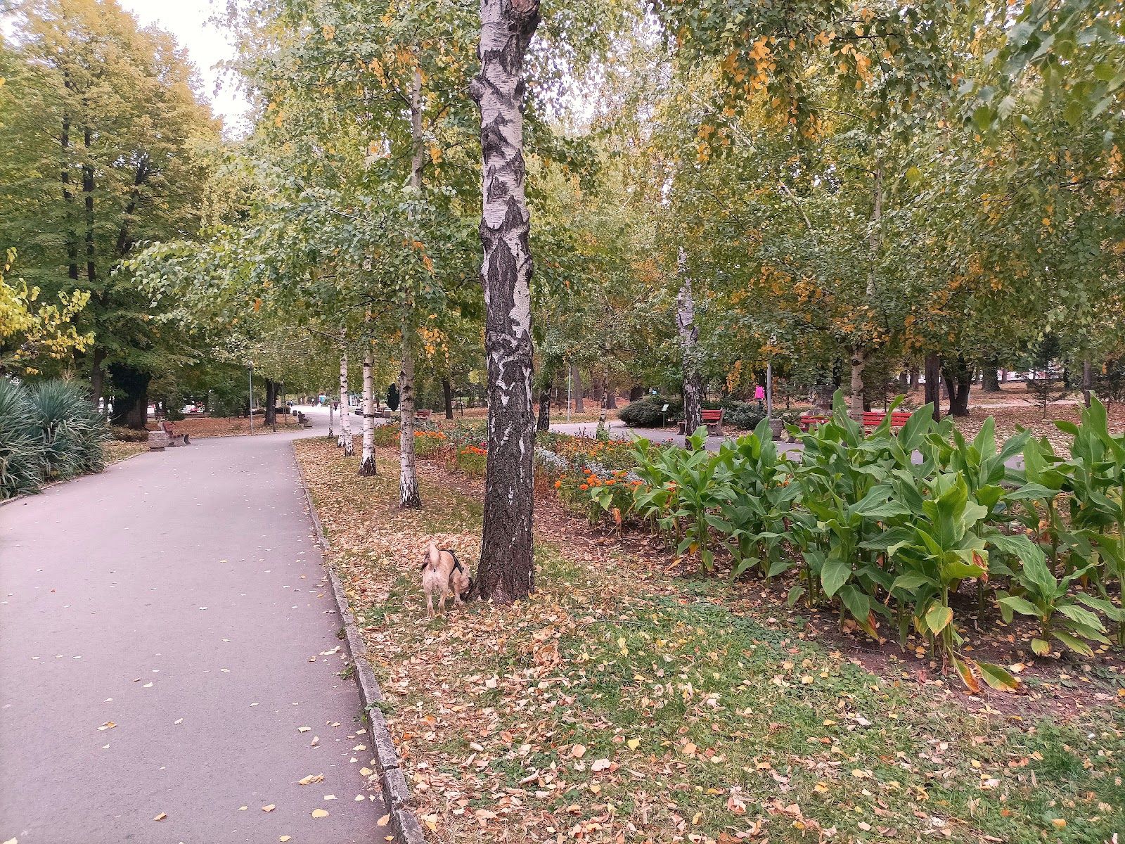 City Garden – photo 4