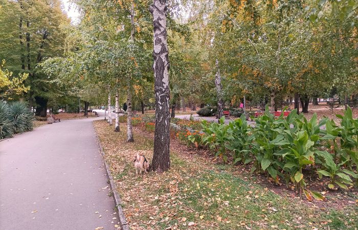 City Garden – photo 4