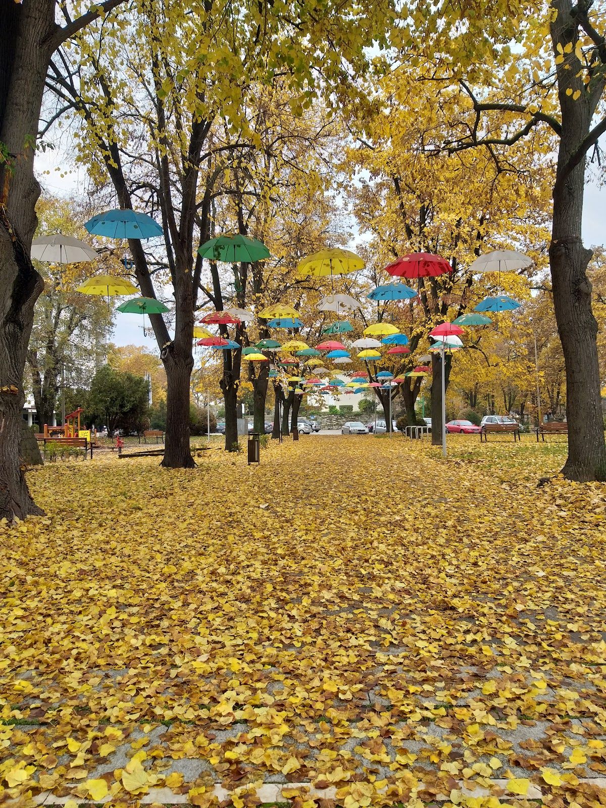 "Vladikina Bachva" Park