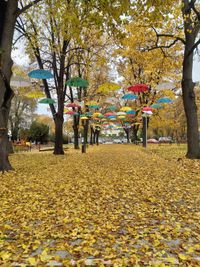 "Vladikina Bachva" Park