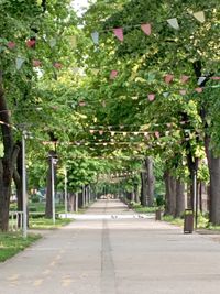 Danube Riverside City Garden