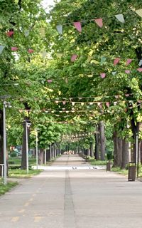 Relax in the Danube Park