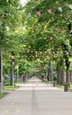 Danube Riverside City Garden