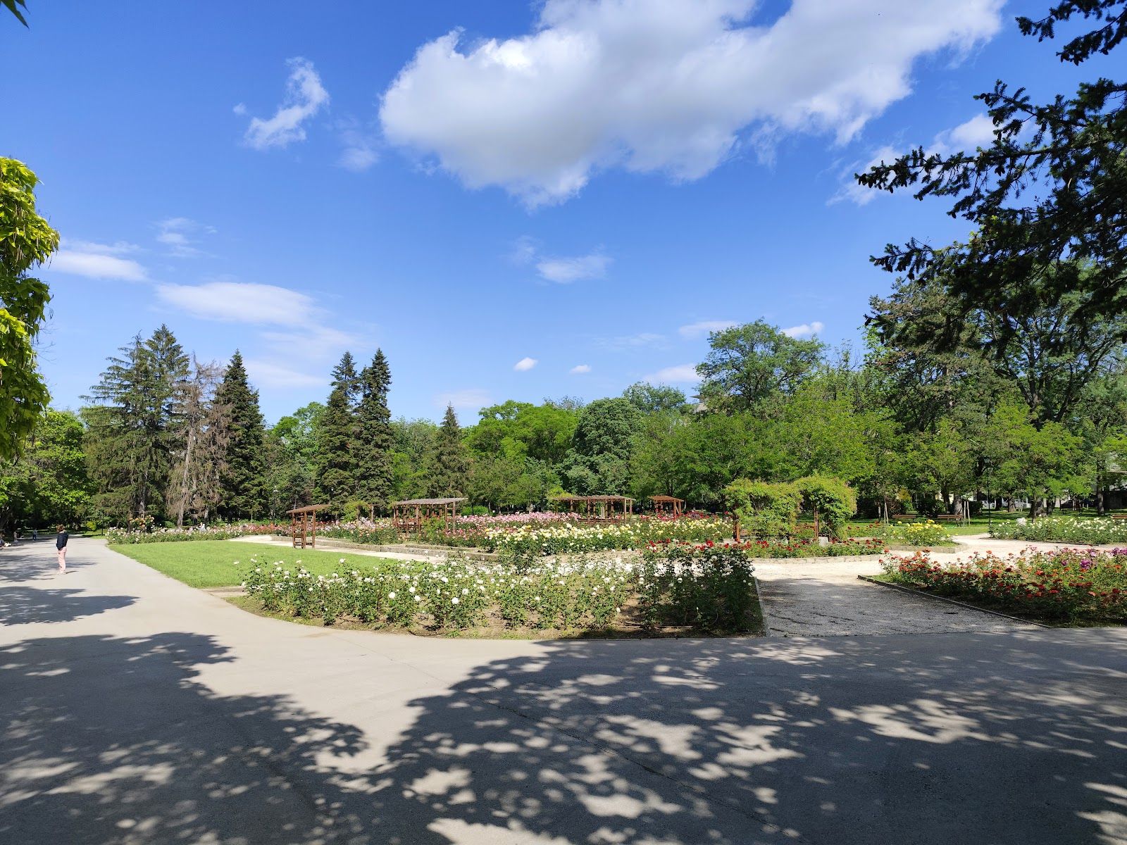 Rose Garden