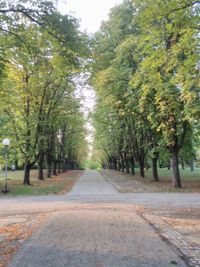 Park of the Revivalists