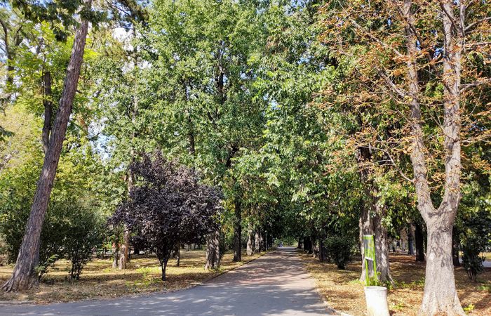 City Garden – photo 5
