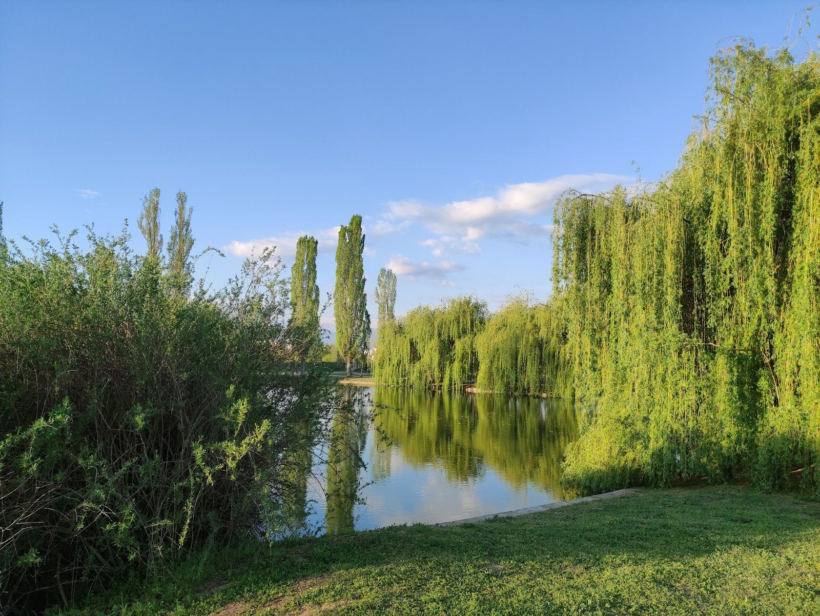 Park "Stadium" – photo 3