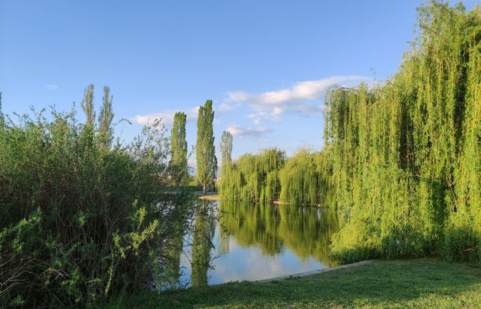 Park "Stadium" – photo 3
