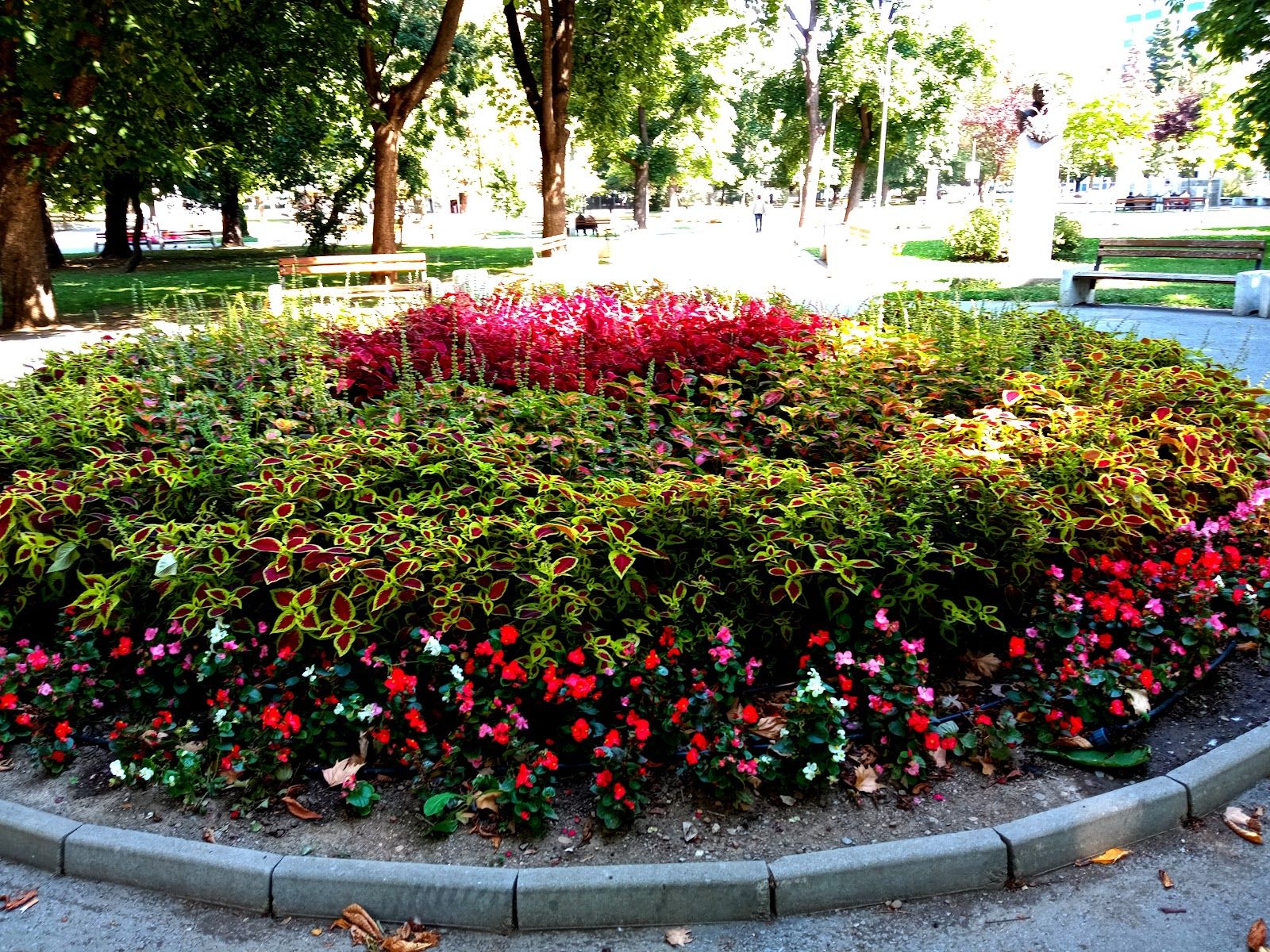 Montana City Park – photo 4