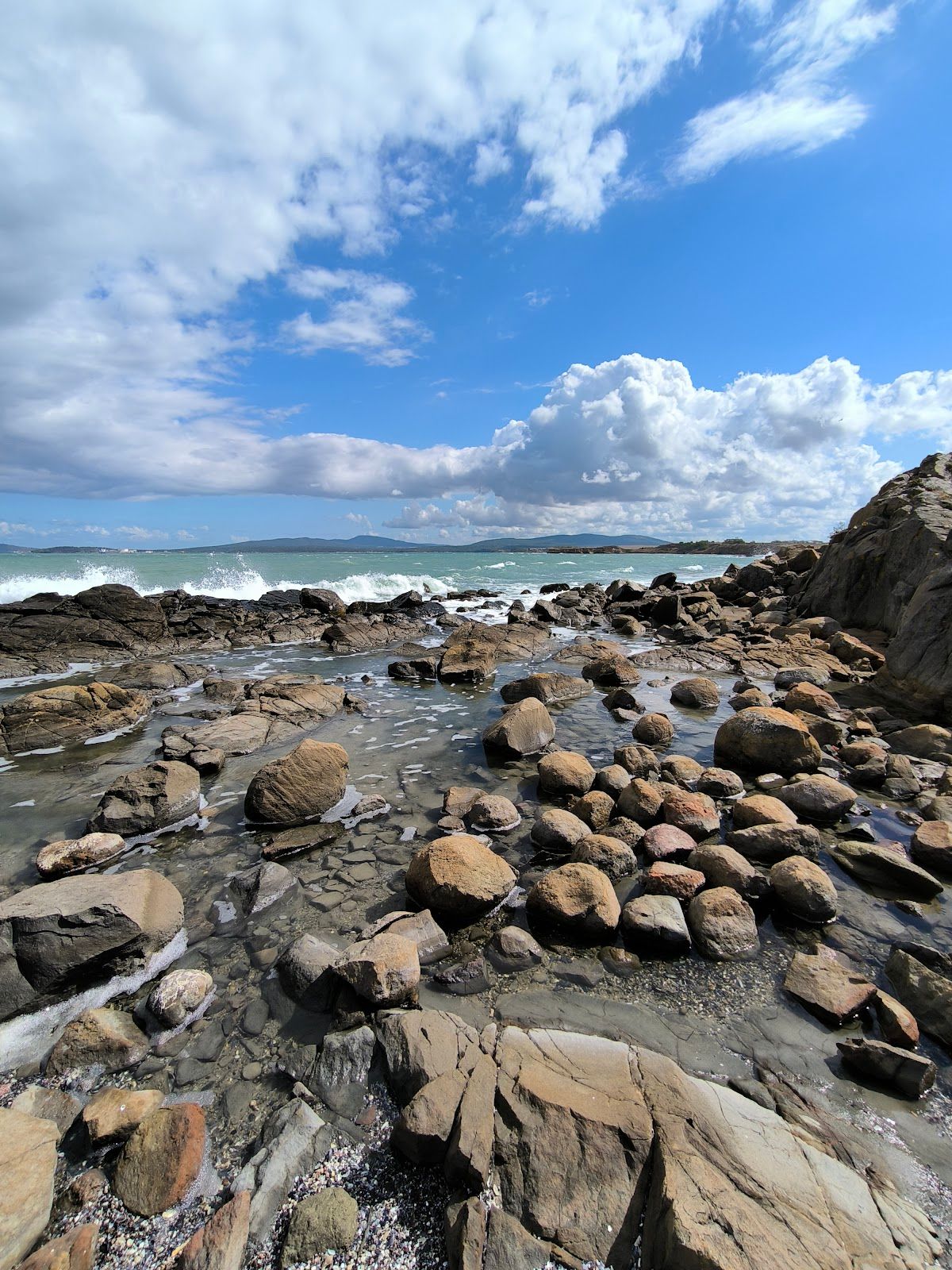 Foros Eco Zone