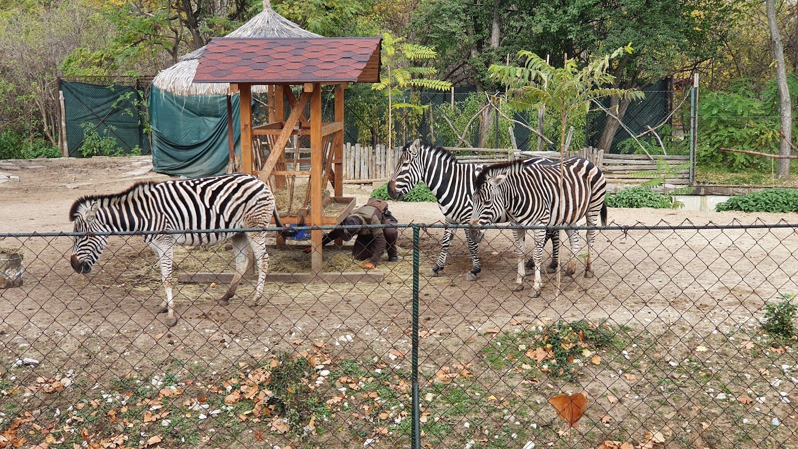 The Sofia Zoo – photo 3