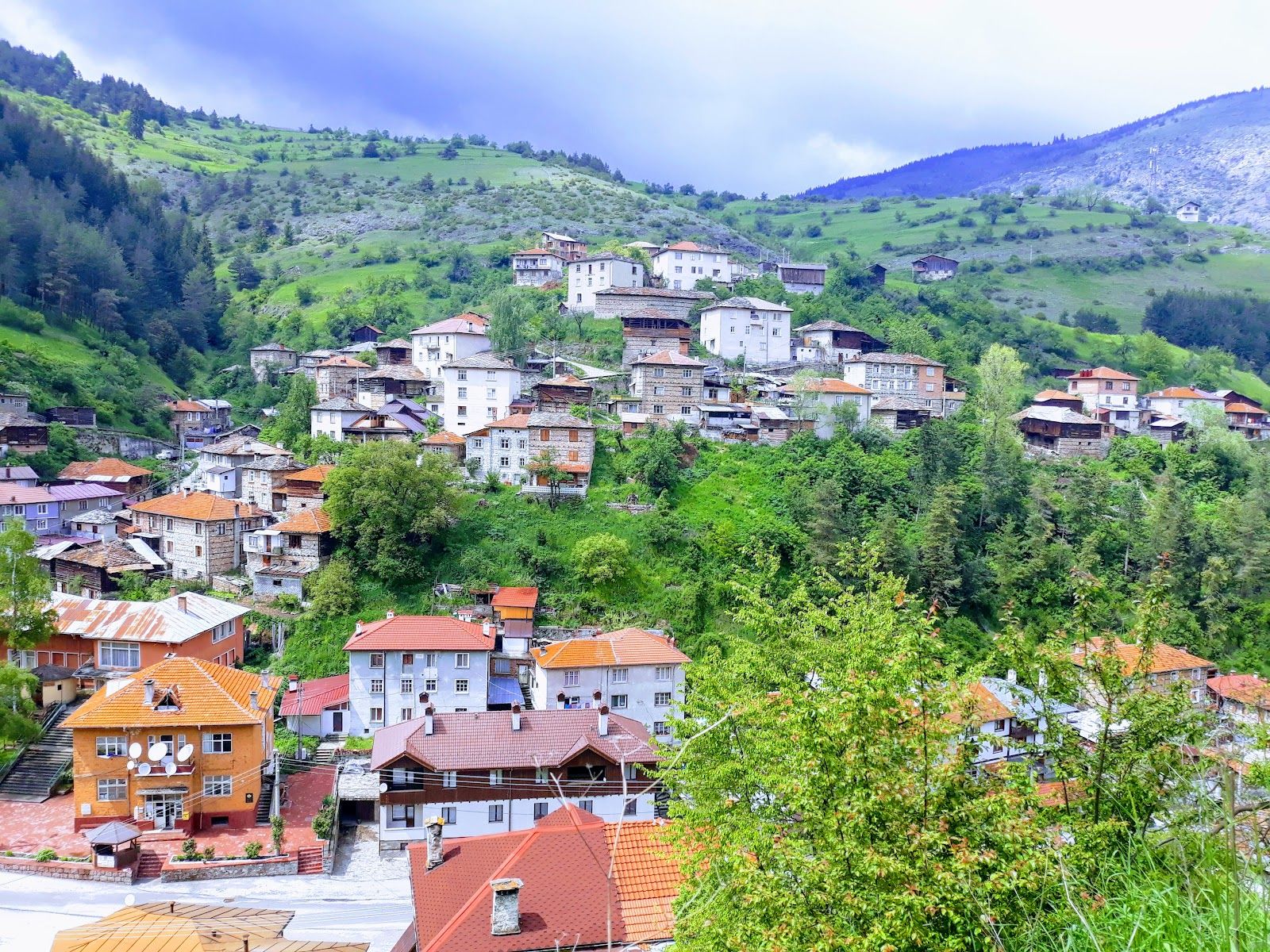 Село Забърдо