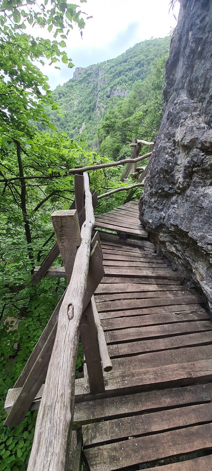 Borov Kamak Vratsa Ecotrail