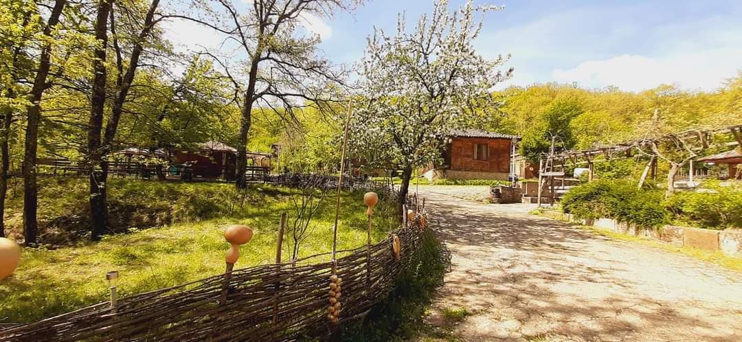 Medven village