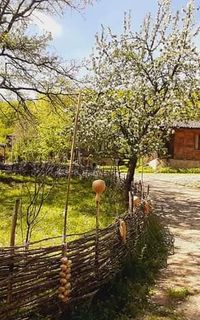 Medven village