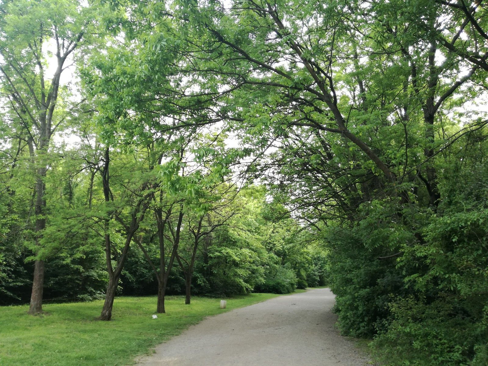 West Park – photo 3