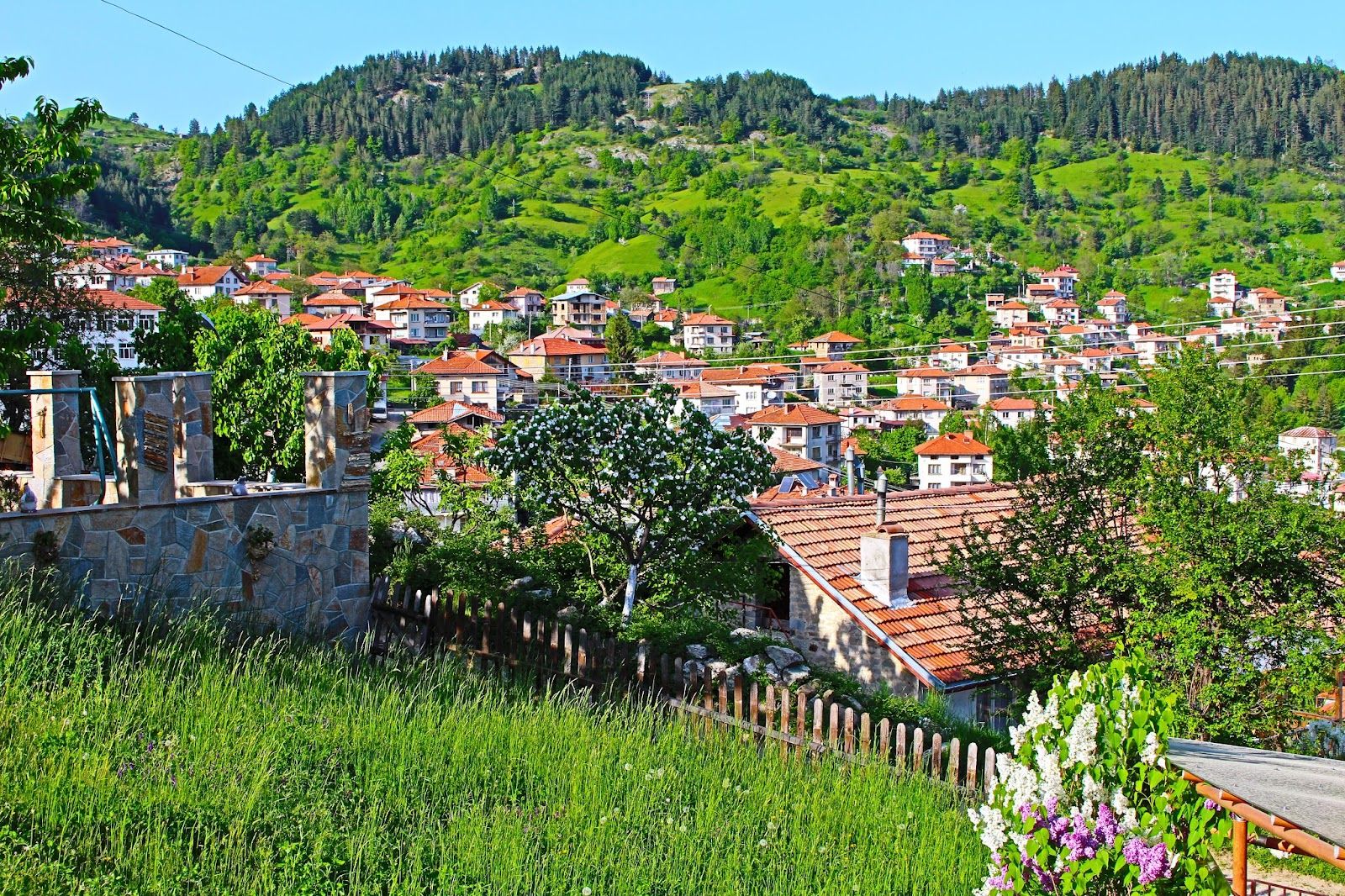 Село Момчиловци