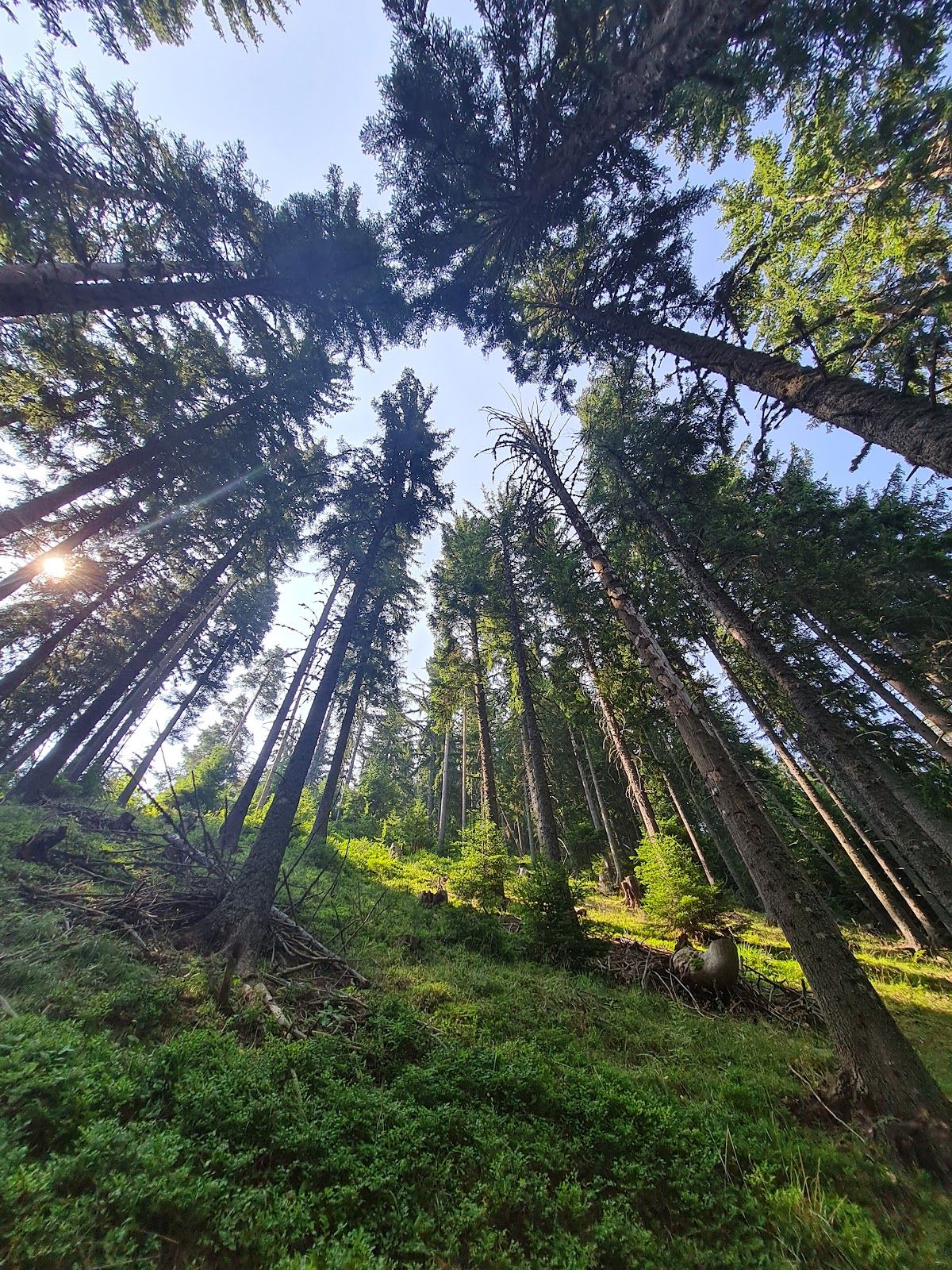 Nevyastata Ecotrail – photo 2