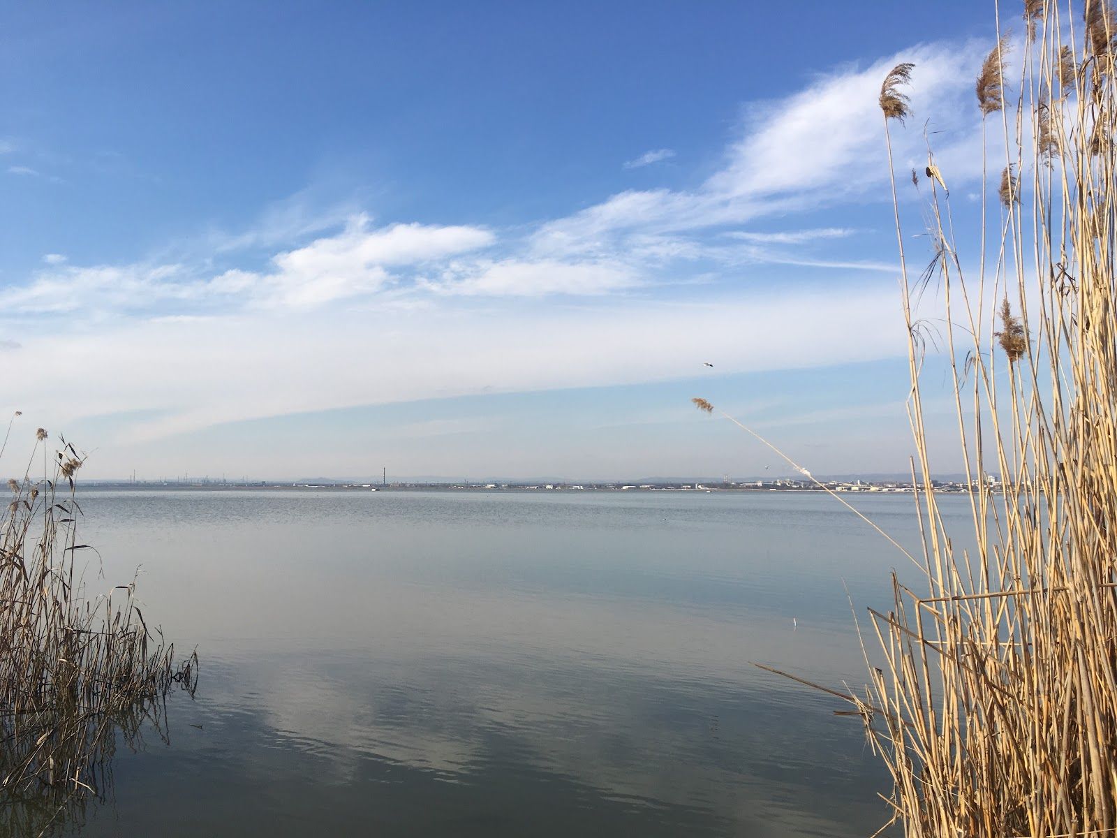 Lake Burgas (Vaya)