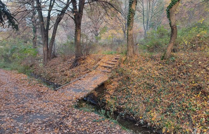 The Hunting Lodge (Loven Dom) – photo 5