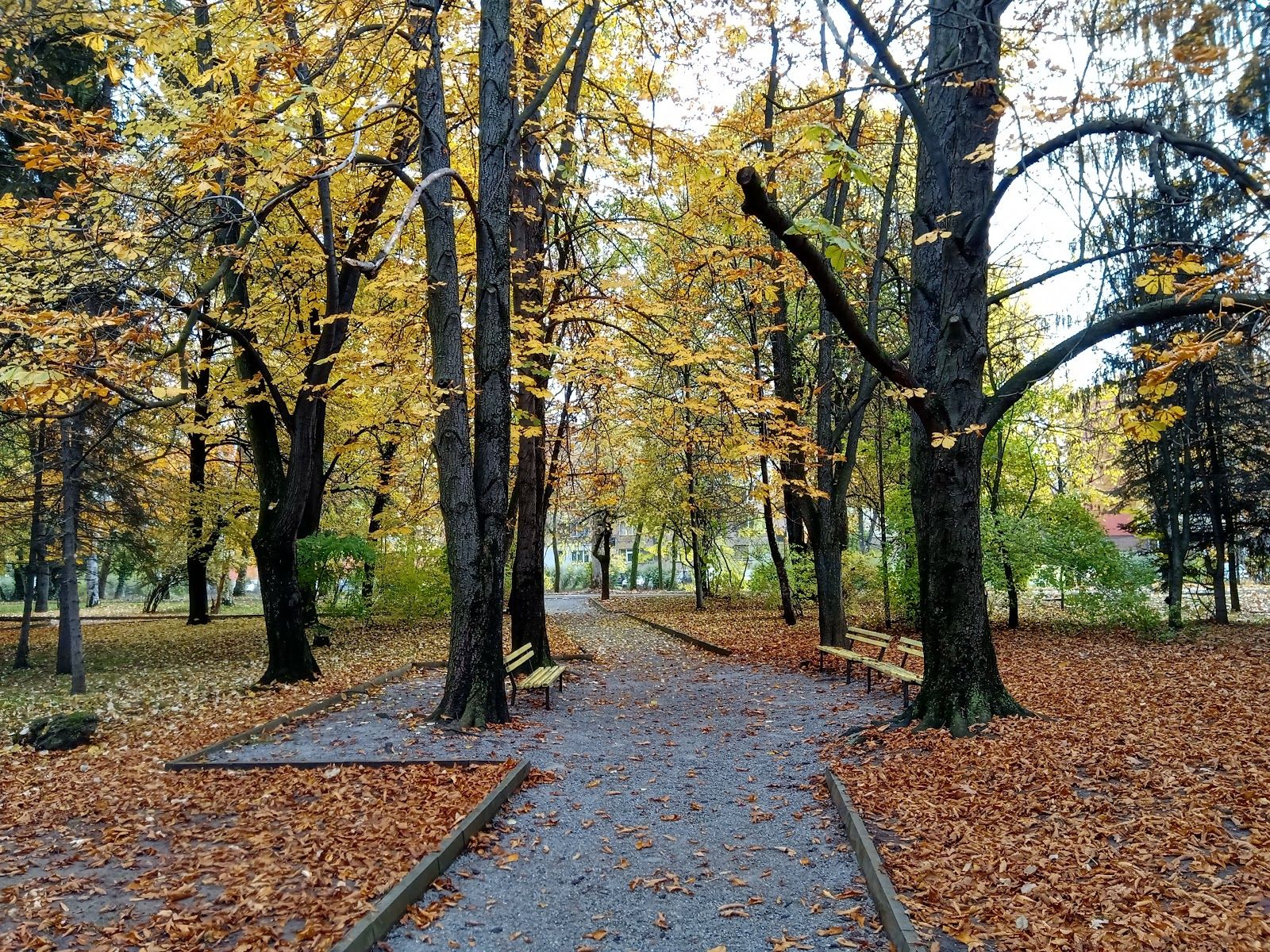 Central City Park