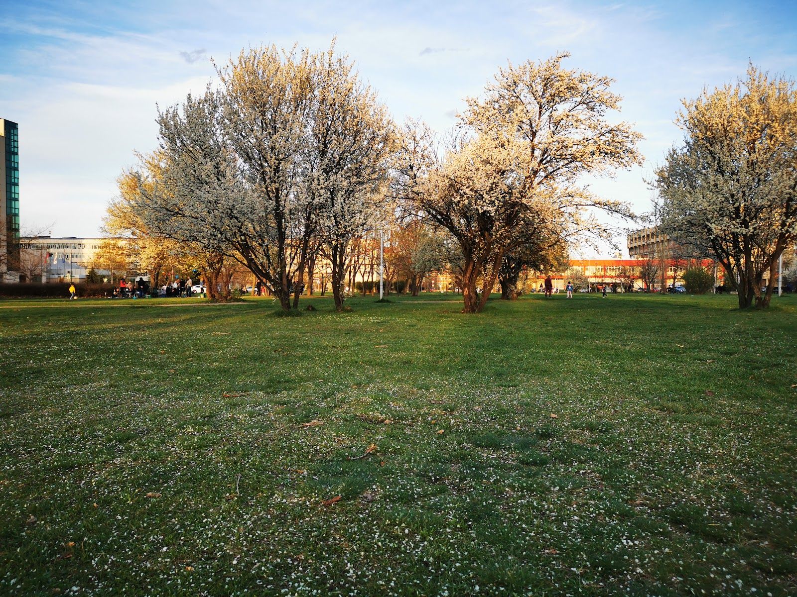 Student's Park – photo 2