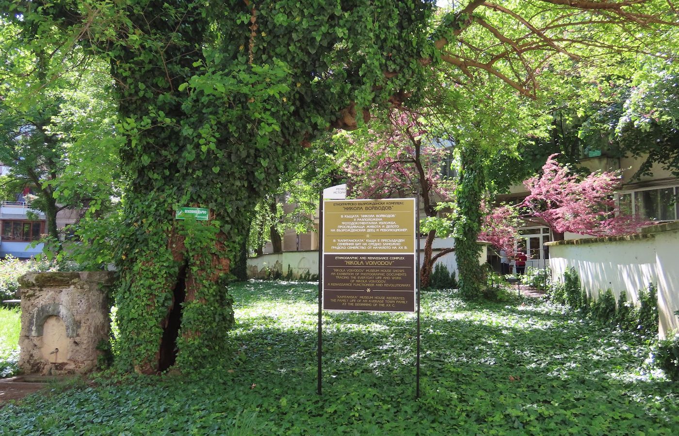 House-Museum Nikola Voyvodov – photo 1