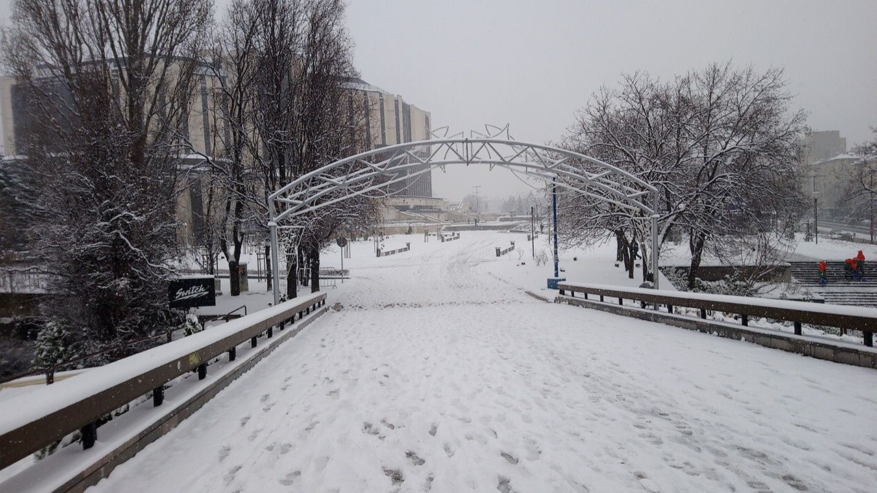Lovers' Bridge – photo 3