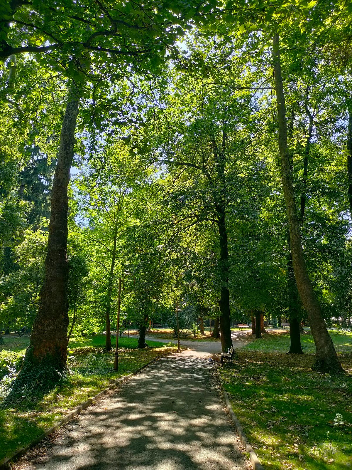 City Park – photo 3