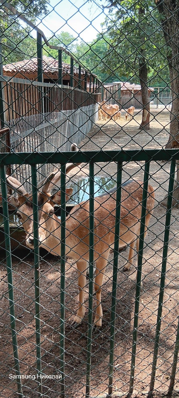 Haskovo Zoo – photo 2