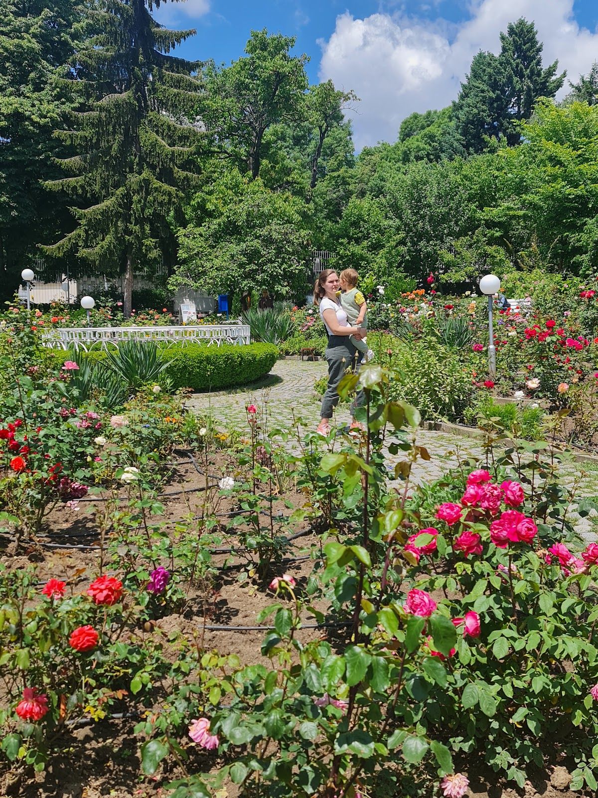 Deunov's Garden – photo 3