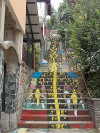 “Dazhdovnik” Staircase