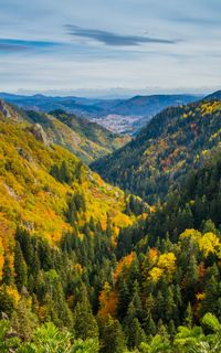 The Waterfalls Canyon
