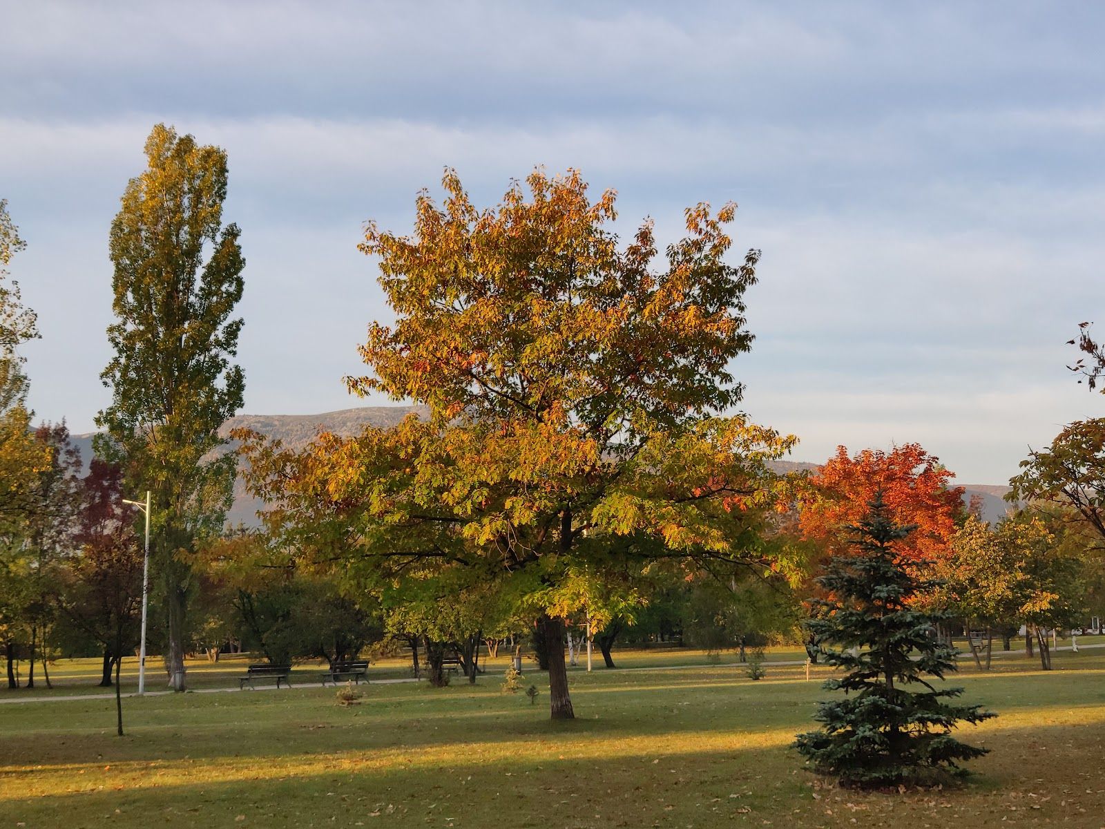 Student's Park – photo 5