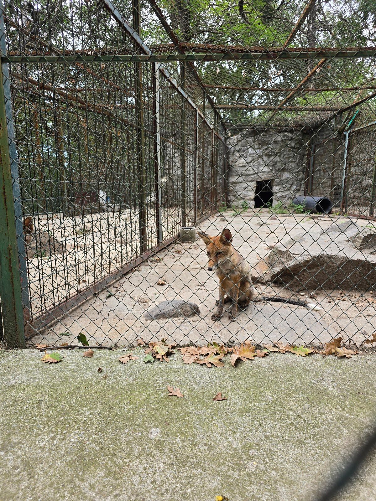Haskovo Zoo – photo 5