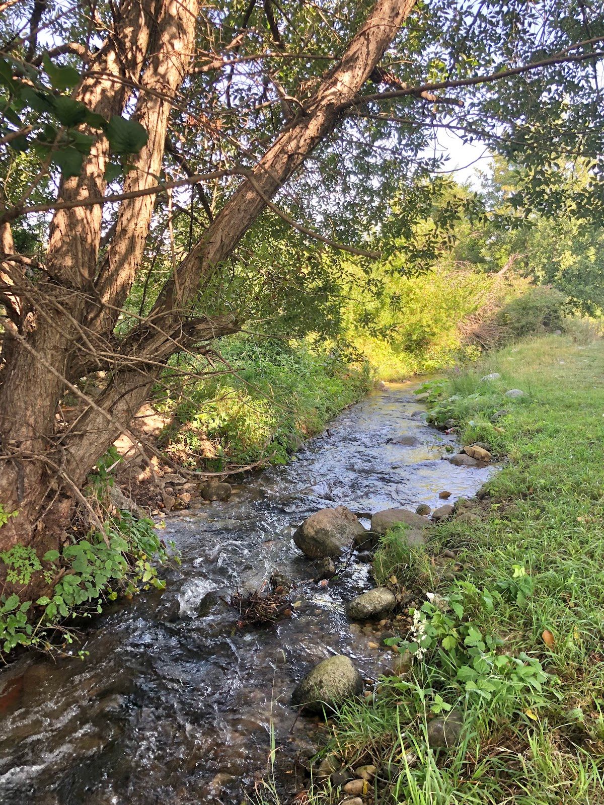 Top of the river