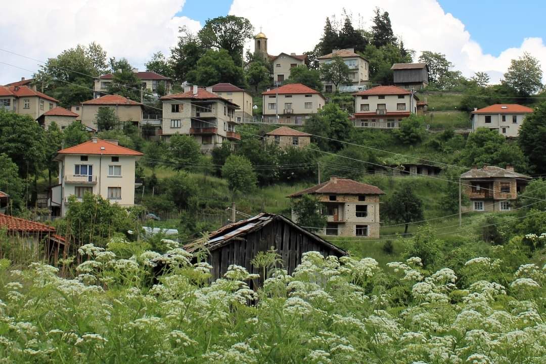 Село Давидково