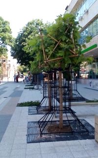 Take a walk along the central pedestrian zone