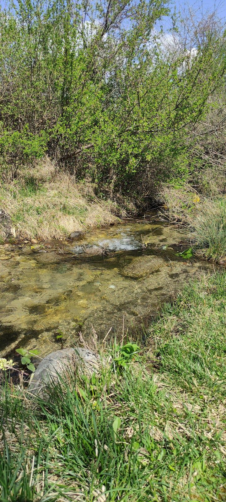 Top of the river – photo 5