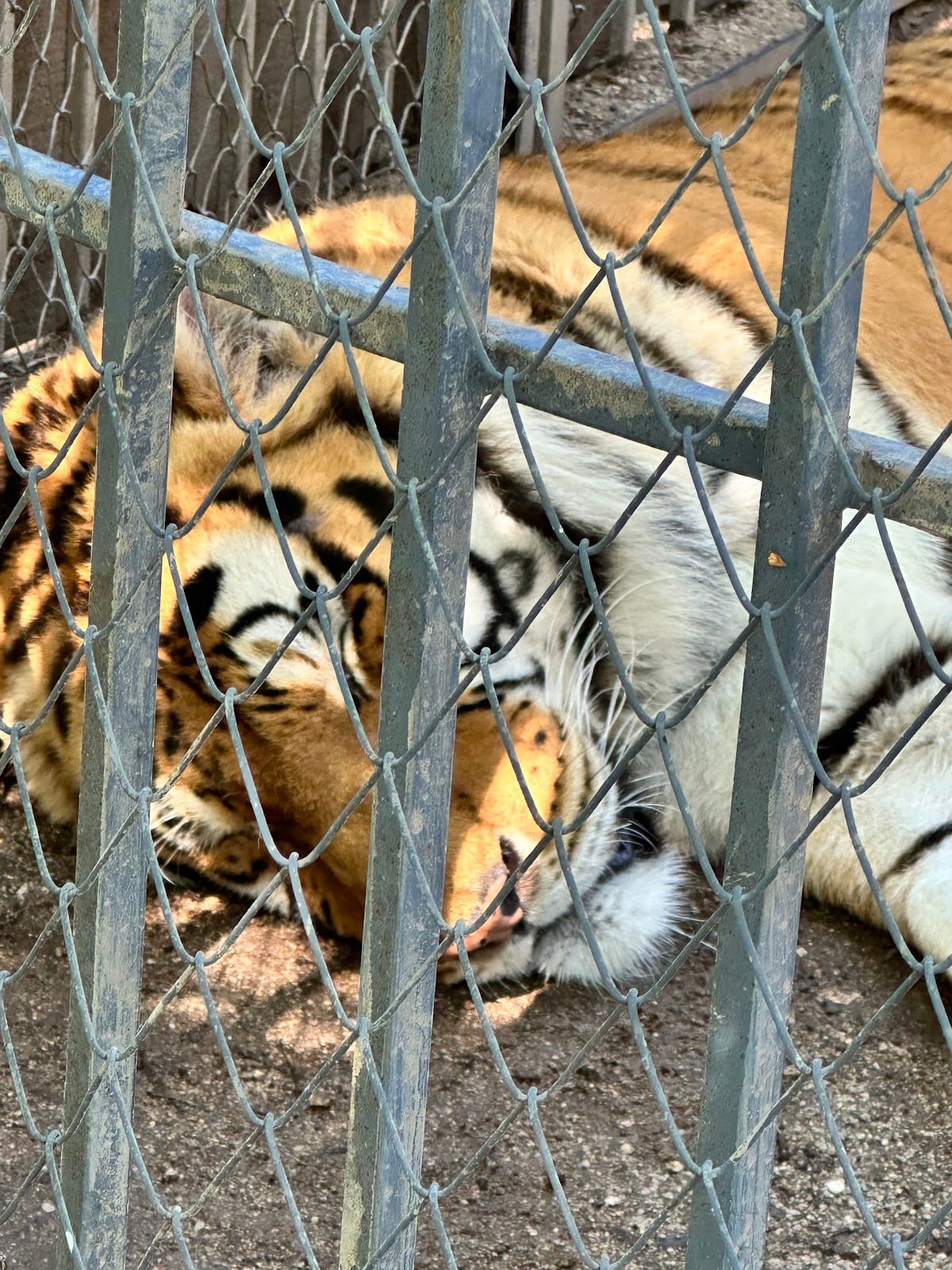 Haskovo Zoo