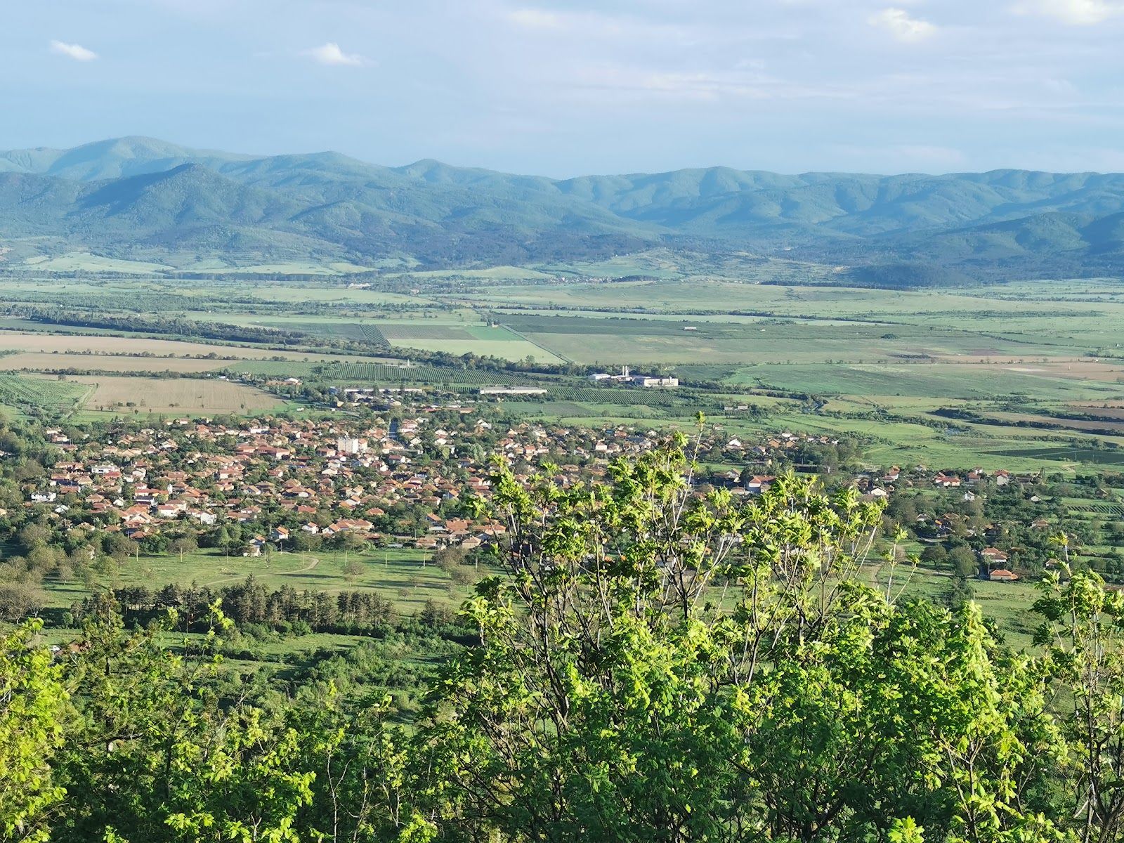 Tazha village
