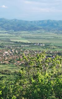 Tazha village