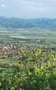 Tazha village
