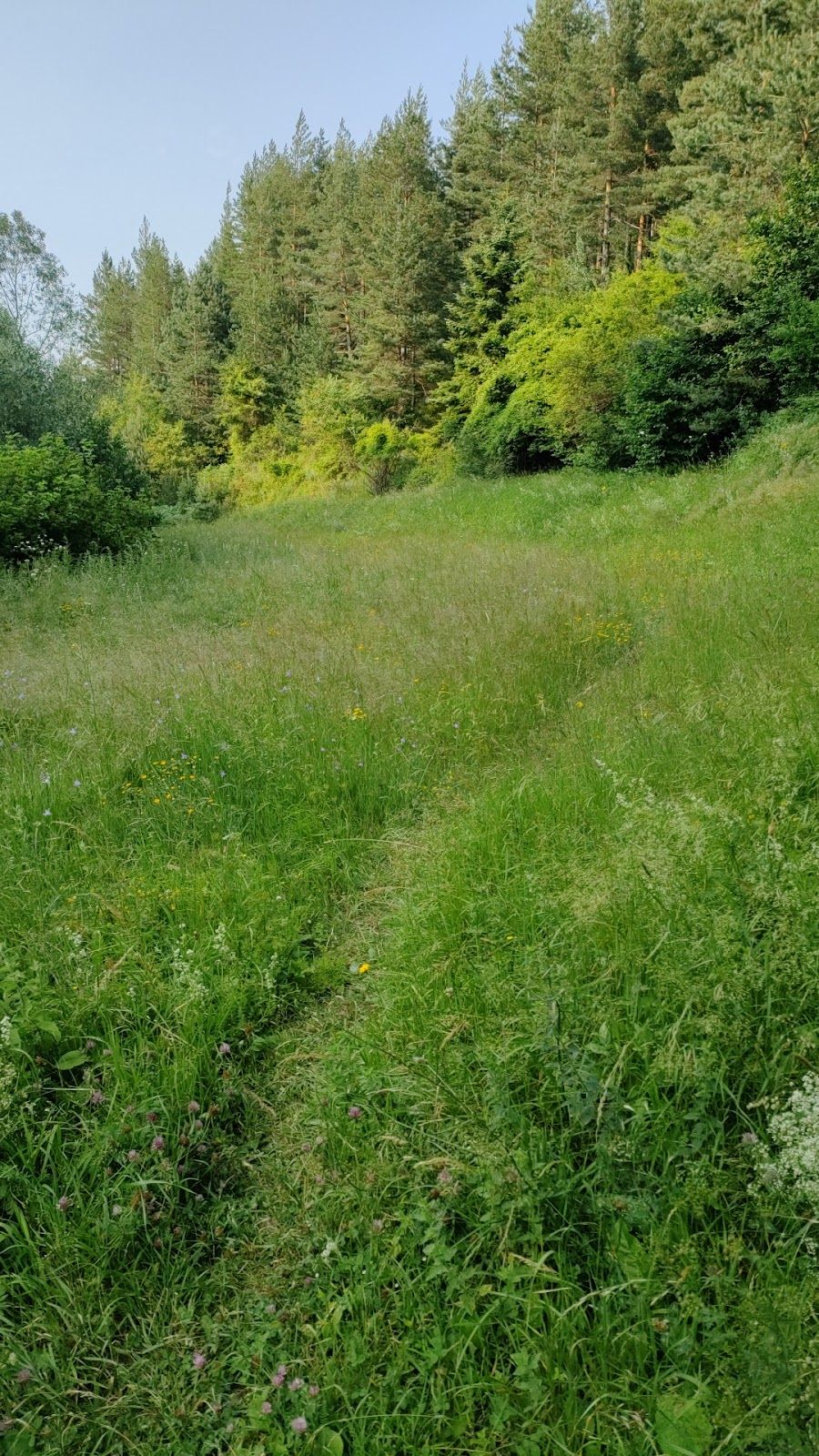 Wild camping – photo 3