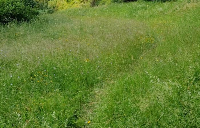 Wild camping – photo 3