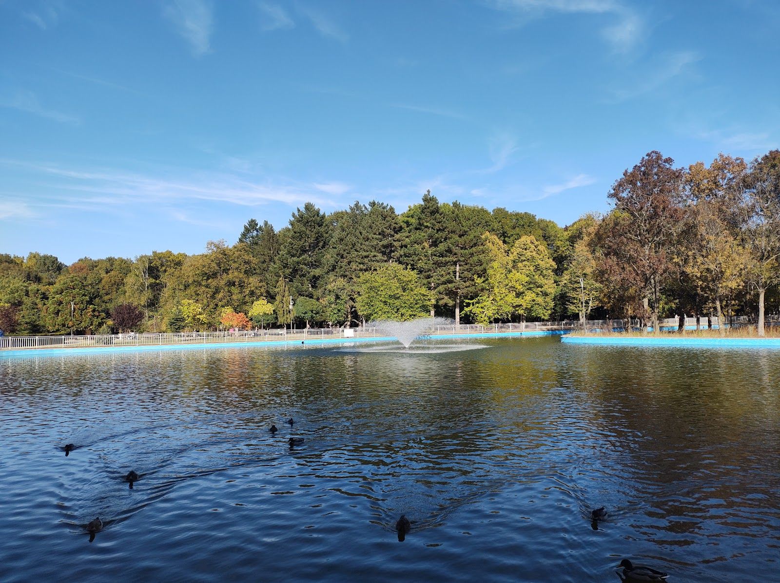 North Park – photo 4