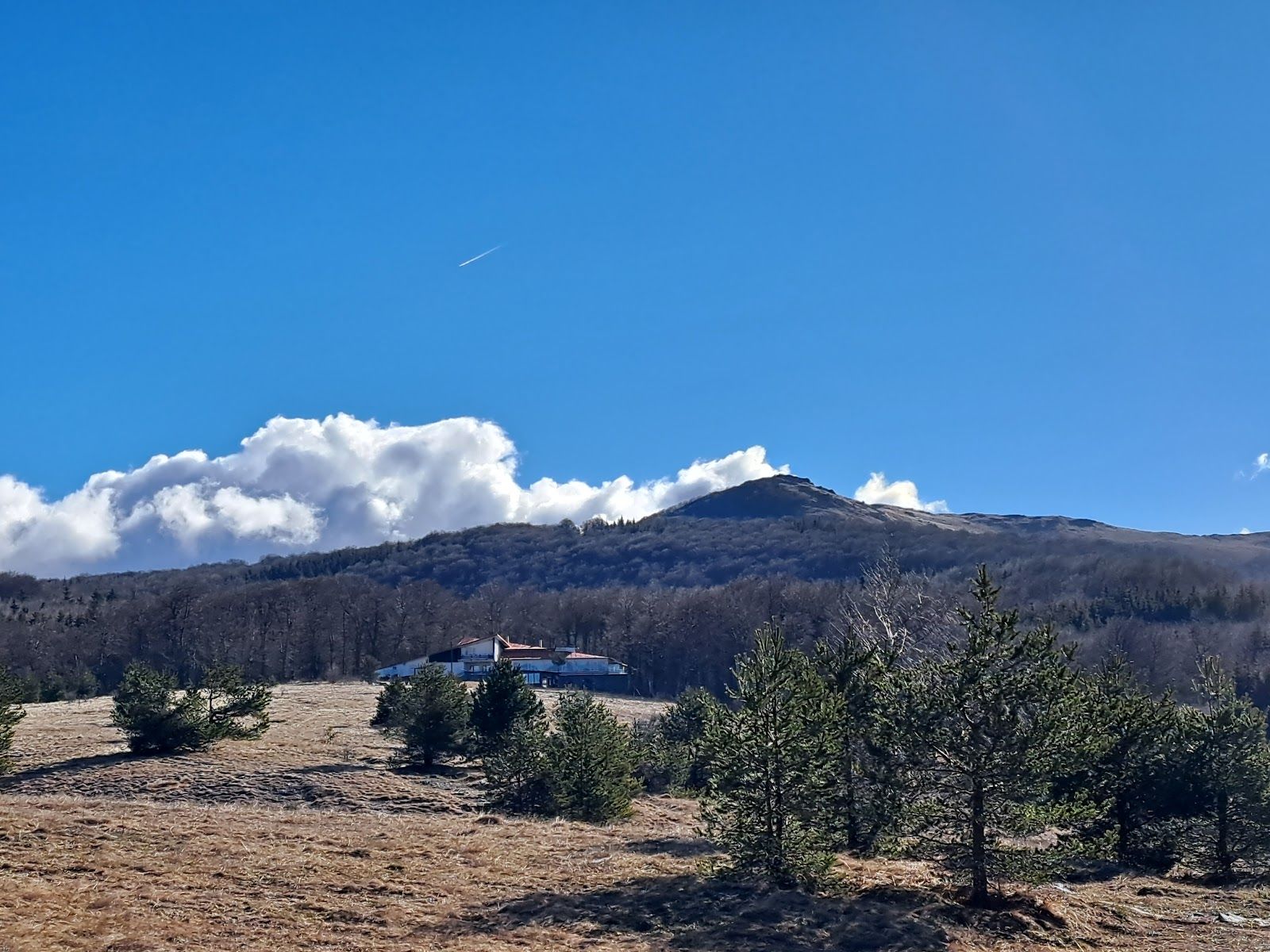 Uzana area